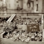 Picture of MARKETPLACE - 37