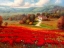 Picture of POPPY FIELDS AFAR