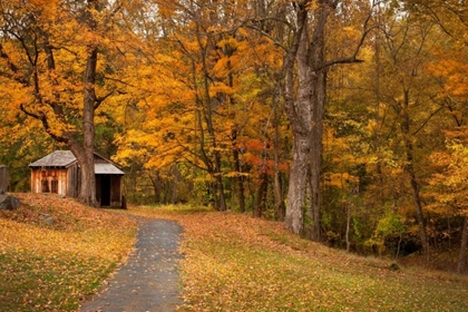 Picture of AUTUMN HOME