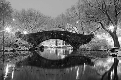 Picture of BRIDGE IN WINTER