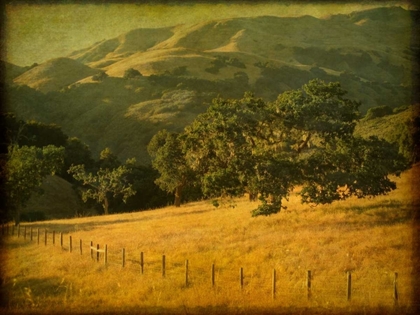 Picture of OAK AND FENCE