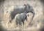 Picture of ELEPHANTS