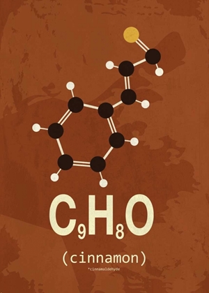 Picture of MOLECULE CINNAMON