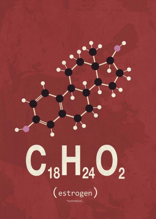 Picture of MOLECULE ESTROGENE