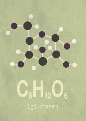 Picture of MOLECULE GLUCOSE