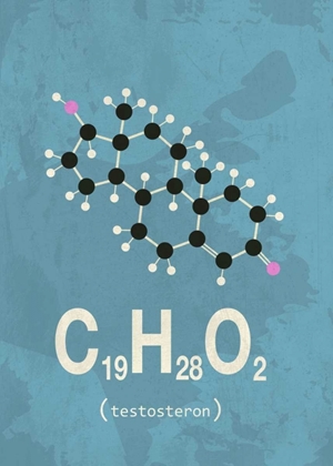 Picture of MOLECULE TESTOSTERONE