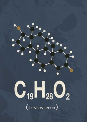 Picture of MOLECULE TESTOSTERONE