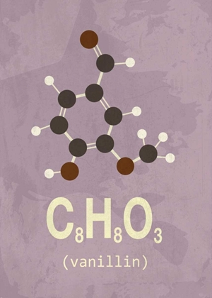 Picture of MOLECULE VANILIN