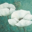 Picture of FLORA I