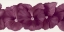 Picture of VIOLET FLOWER III