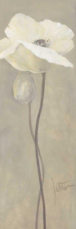 Picture of POPPY IN WHITE IV