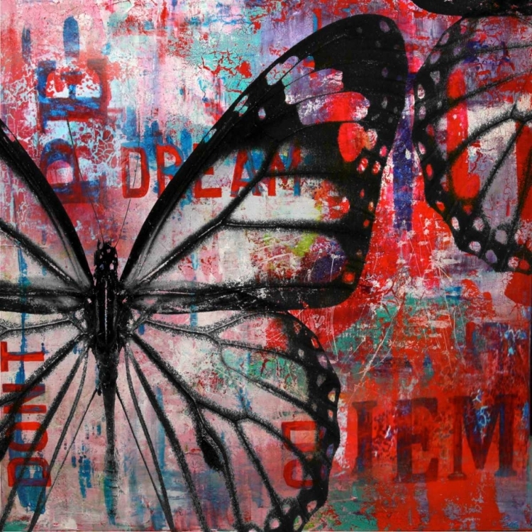 Picture of BUTTERFLY IV