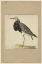 Picture of STANDING