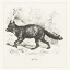 Picture of DE VOS