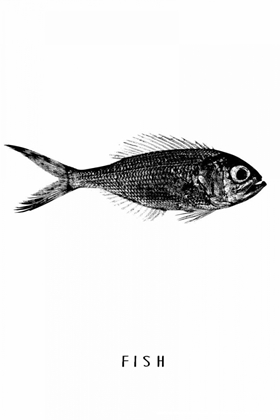 Picture of FISH