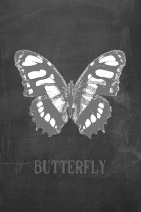 Picture of BUTTERFLY GRIS