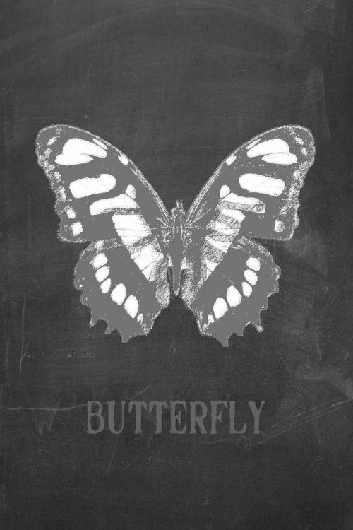 Picture of BUTTERFLY GRIS