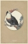Picture of TOEKAN