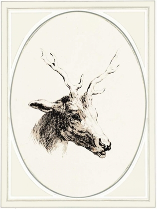Picture of DEER I