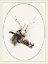 Picture of DEER I