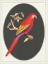 Picture of PARROT RED