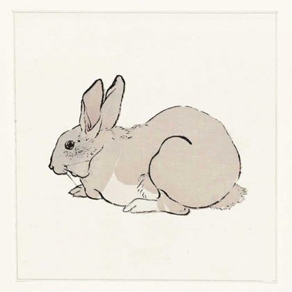 Picture of RABBIT