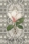 Picture of MAGNOLIA II