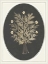 Picture of GARDENIO I
