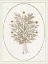 Picture of GARDENIO IV