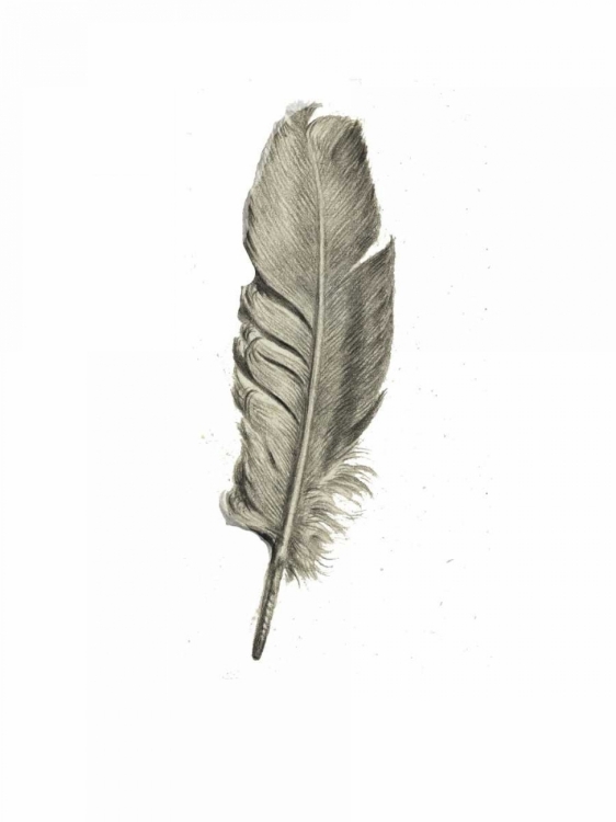 Picture of FEATHER I