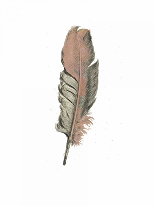 Picture of FEATHER II