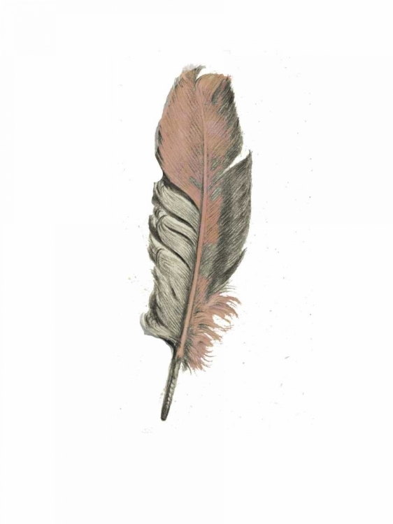 Picture of FEATHER II