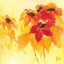 Picture of SUNSHINY I