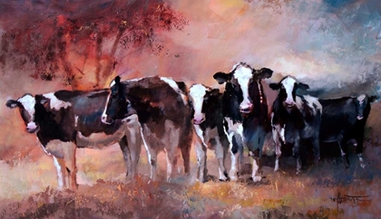 Picture of COWS