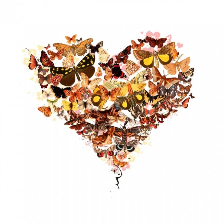 Picture of BUTTERFLY HEART