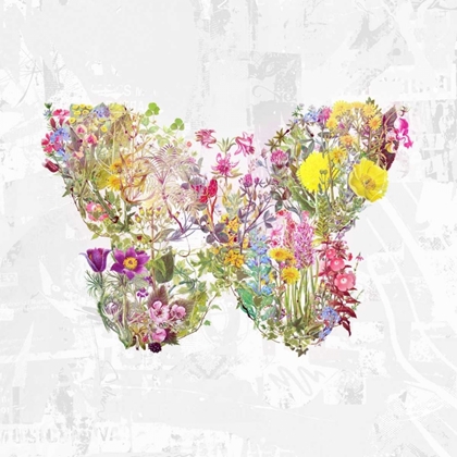Picture of FLORAL BUTTERFLY