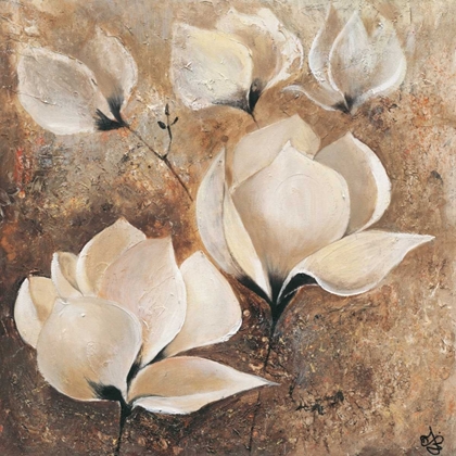 Picture of MAGNOLIA I