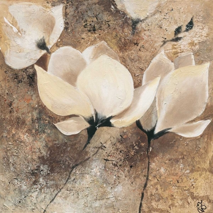 Picture of MAGNOLIA II