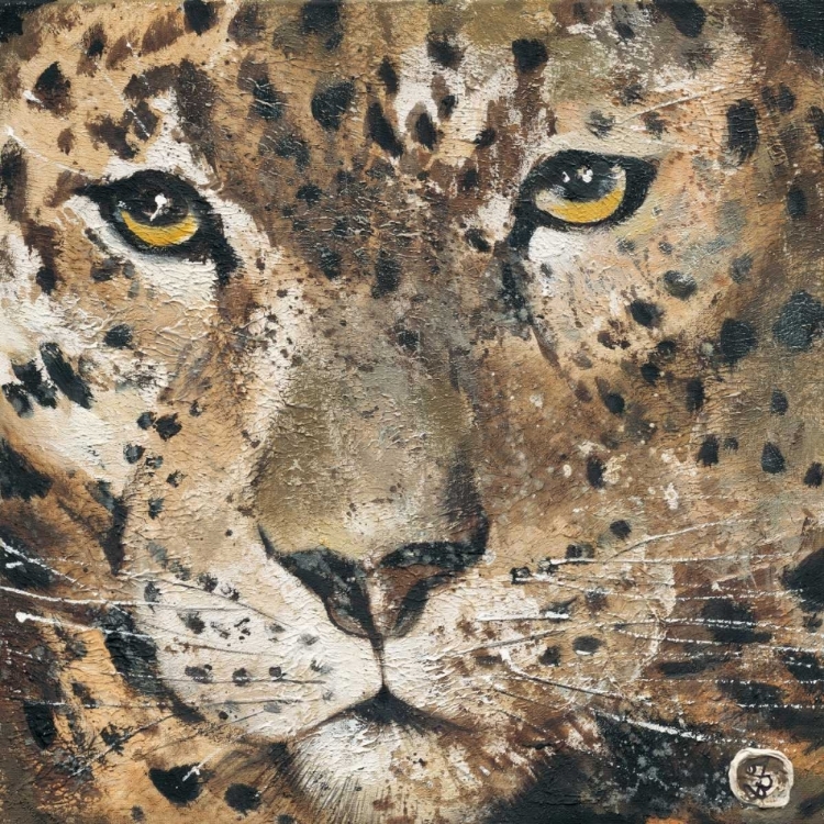 Picture of LEOPARD