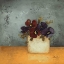 Picture of PANSIES II