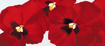 Picture of RED I - PANSIES