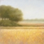 Picture of WHEAT FIELD