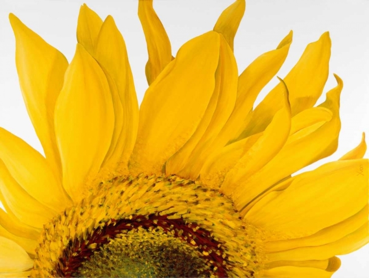 Picture of SUNFLOWER I