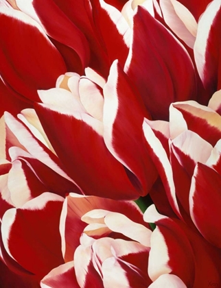 Picture of RED AND WHITE II