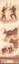 Picture of AFRICAN IMPRESSION II