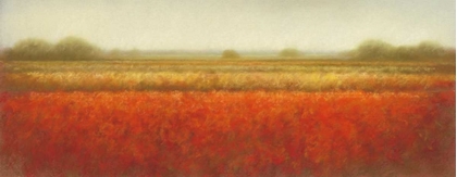 Picture of FIELD OF POPPIES