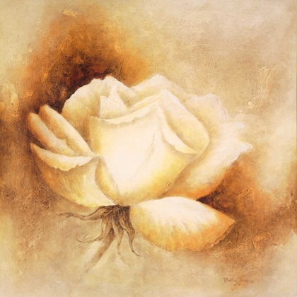 Picture of WHITE ROSE I