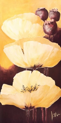 Picture of YELLOW POPPIES IV