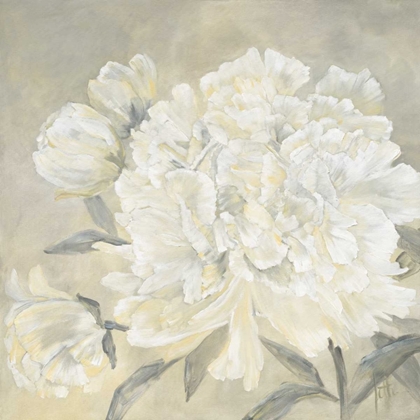 Picture of PAEONIA I
