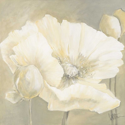 Picture of POPPY IN WHITE II